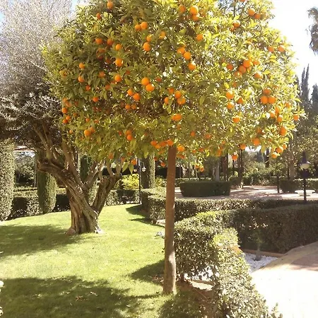 Ad Hoc Parque Golf 4*