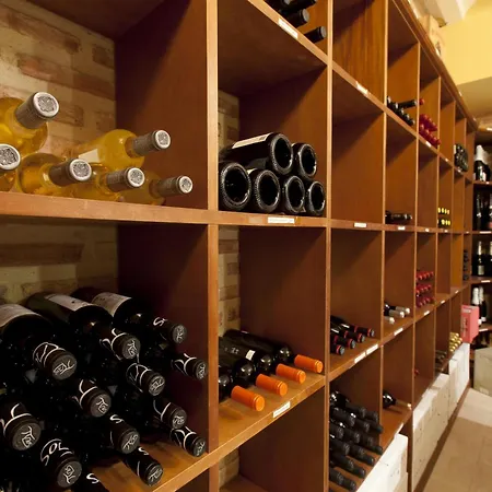 Ad Hoc Parque 贝特拉