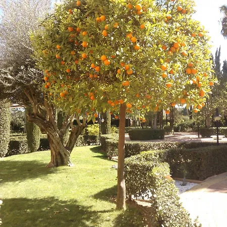 Ad Hoc Parque Szálloda