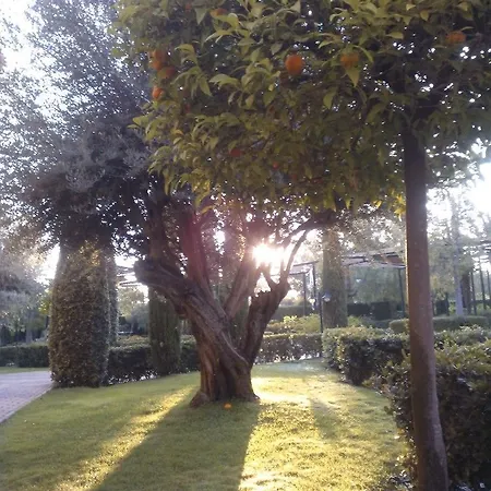 Ξενοδοχείο Ad Hoc Parque 4*