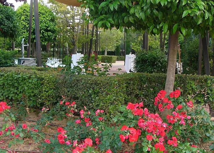 Hotel Ad Hoc Parque 4*