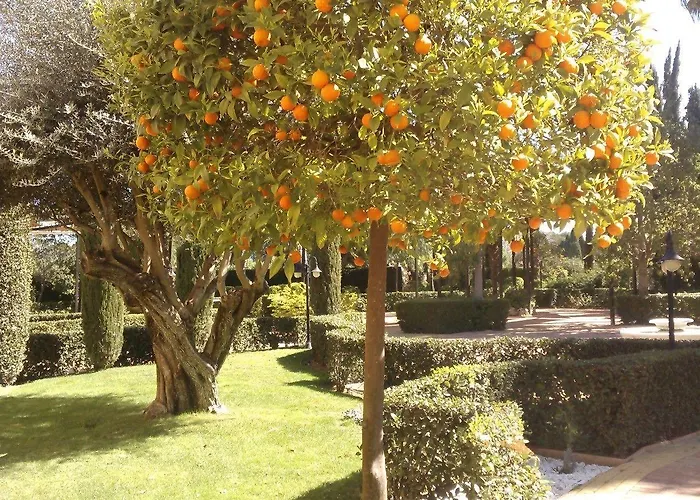 Ad Hoc Parque Hotel