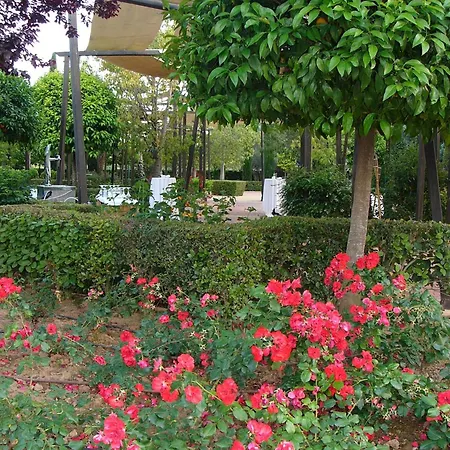 Hotel Ad Hoc Parque 4*