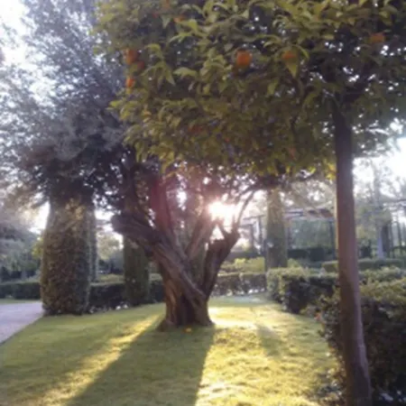 호텔 Ad Hoc Parque 4*